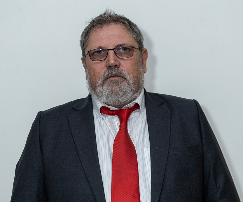 Mr. Werner Renk